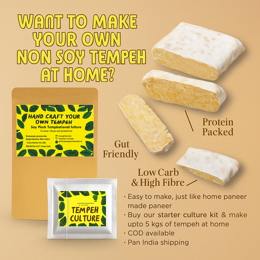 🧪 Fermentation: The Science Behind Better Digestion — Done Right by Tempeh Chennai