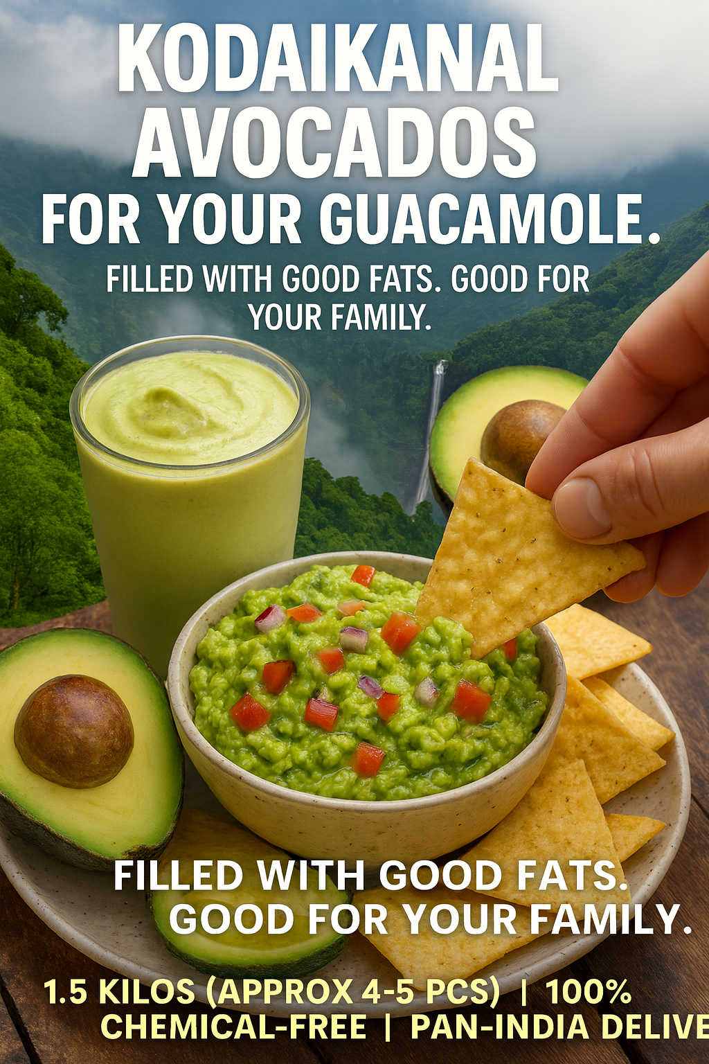 ⛰️ From Kodaikanal Hills to Your Table: Experience the Purest Indian Avocado!