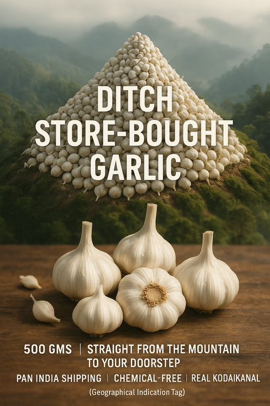The Hidden Treasure of the Hills: Why Kodaikanal Garlic Deserves a Place in Your Kitchen