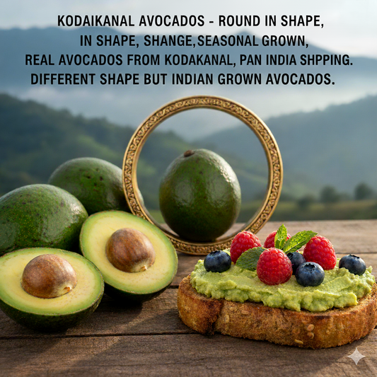 Why Kodaikanal Avocados Are Different