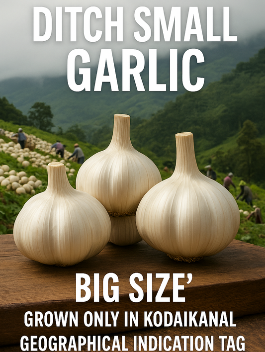 5 Compelling Reasons Why You Must Try Kodaikanal Hills Garlic (And How to Get It Delivered to Your Door)