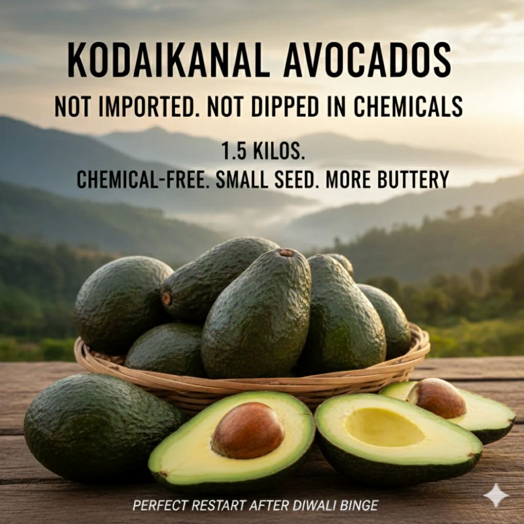 🥑 Why Kodaikanal Avocados Are Creamier: Altitude, Soil, and the Season's Secret