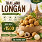 Premium Thailand Litchi Longan (800g) | Air Imported Fresh Fruit | Pan India Delivery