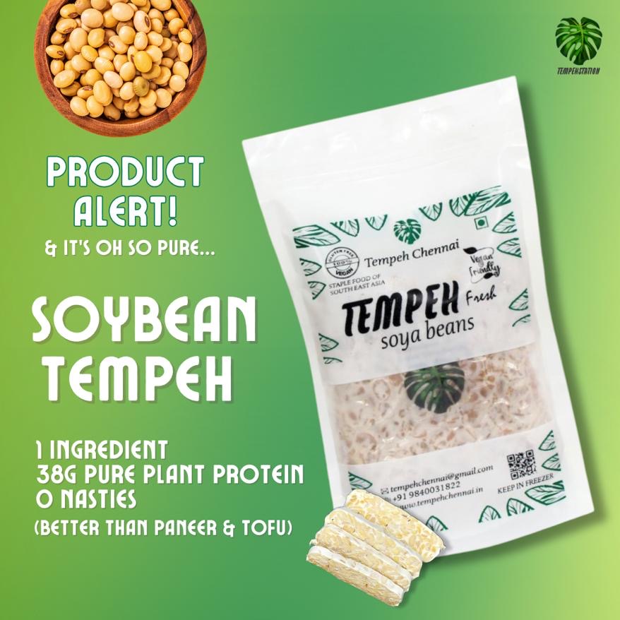 Buy Soybean Tempeh Fresh Original – TEMPEHCHENNAI