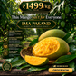 Imam Pasand Mangoes from Salem (1 Kg) – Rare South Indian Premium Box | ₹1499