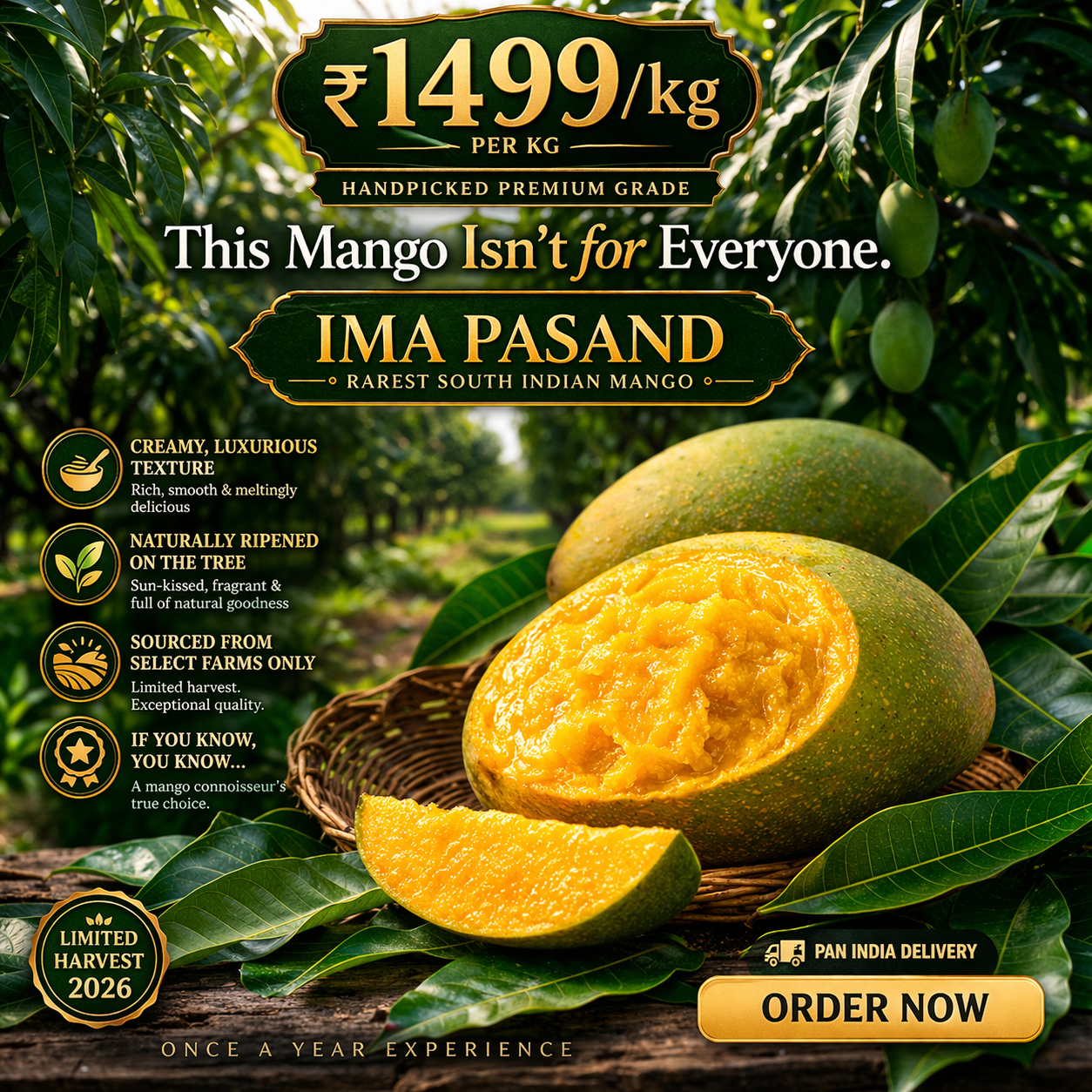 Imam Pasand Mangoes from Salem (1 Kg) – Rare South Indian Premium Box | ₹1499