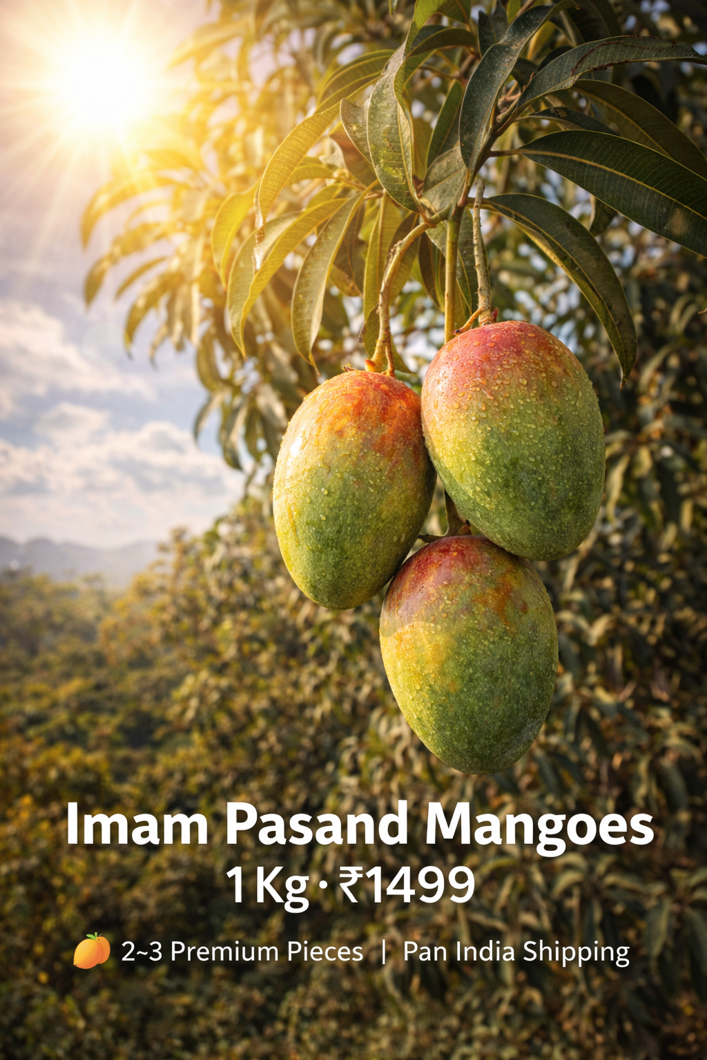 Imam Pasand Mangoes from Salem (1 Kg) – Rare South Indian Premium Box | ₹1499