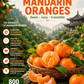 Mandarin Oranges – 800g For Orange LOVERS loaded with vitamin C