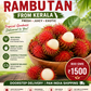 Rambutan from south region- Kerala