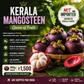 Mangosteen from Kerala Queen of fruits