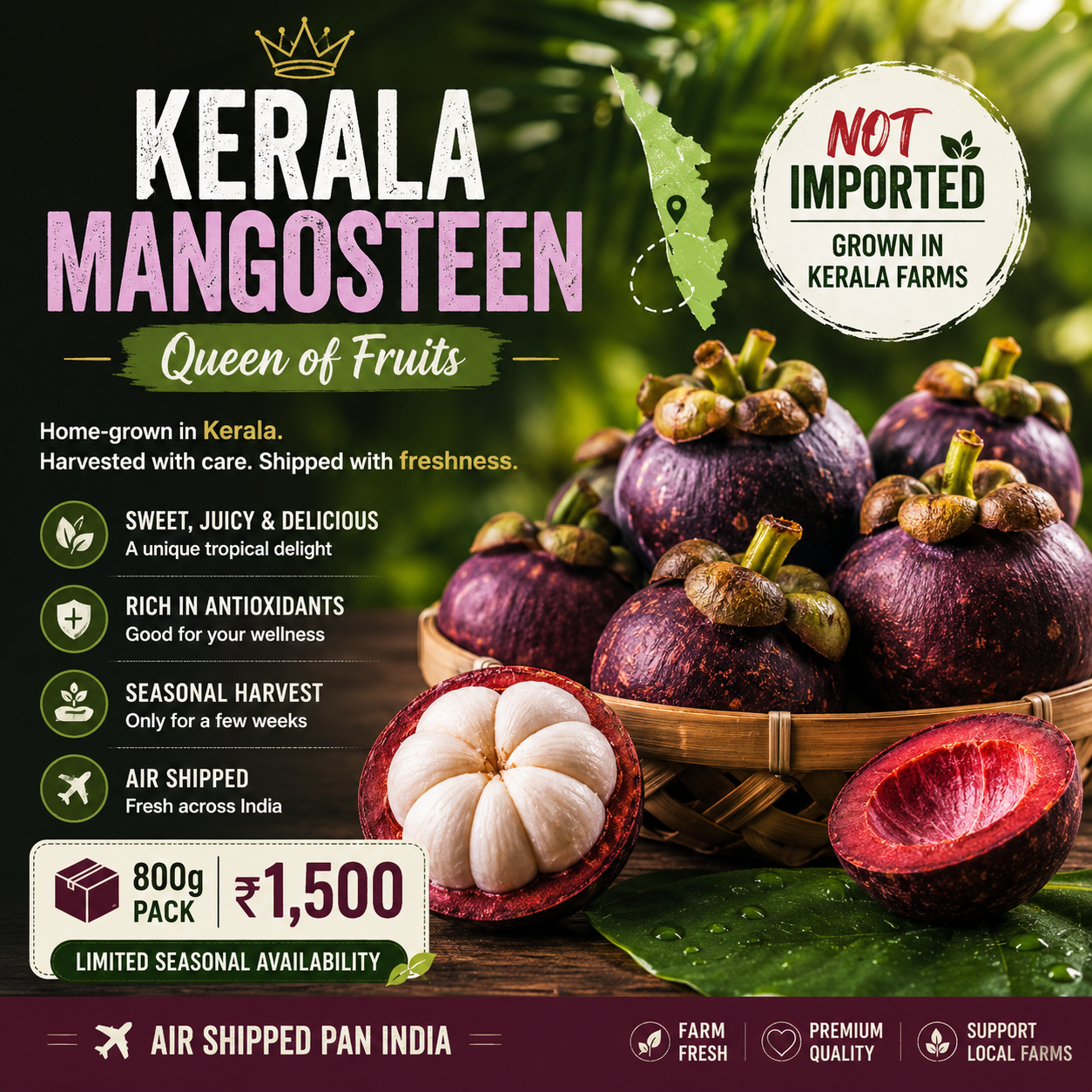 Mangosteen from Kerala Queen of fruits