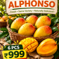 South grown Alphonso Mangoes – Naturally Ripened in South India Sun 6 pcs | 1 KG ☀️ ratangiri