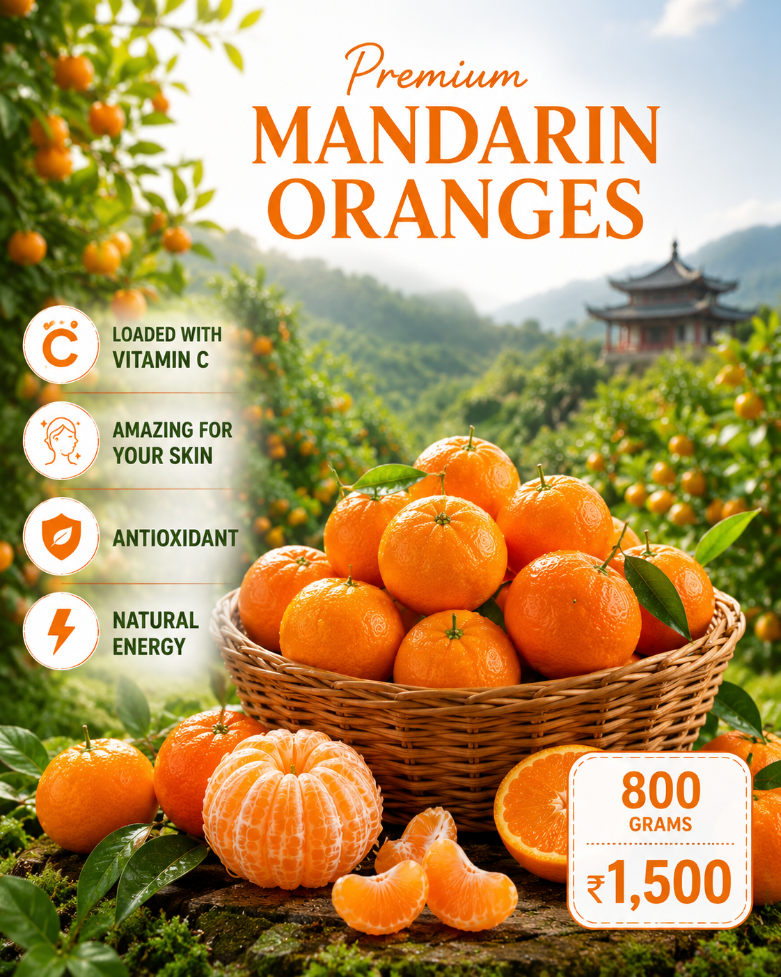 Mandarin Oranges – 800g For Orange LOVERS loaded with vitamin C