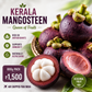 Mangosteen from Kerala Queen of fruits