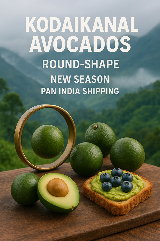 Kodaikannal - Palani hills Avacado Butter Fruit rich creaminess 1.5 kg