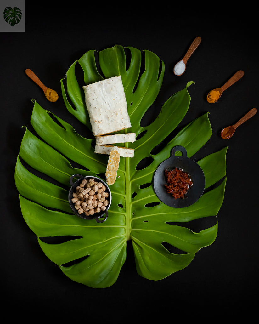 Bulk Chickpea Tempeh (Original) TEMPEHCHENNAI