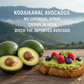 Kodaikannal - Palani hills Avacado Butter Fruit rich creaminess 1.5 kg