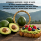 Kodaikannal - Palani hills Avacado Butter Fruit rich creaminess 1.5 kg