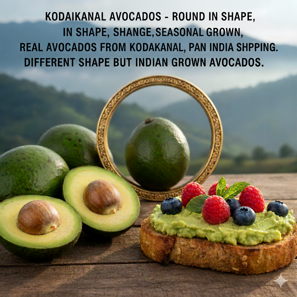 Kodaikannal - Palani hills Avacado Butter Fruit rich creaminess 1.5 kg