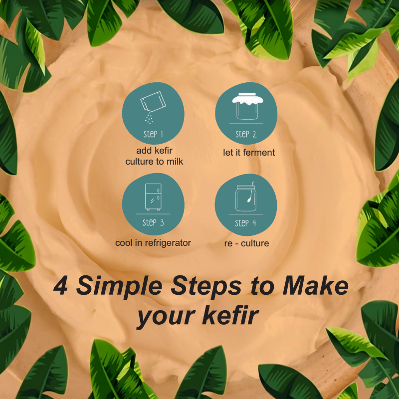 Kefir Starter Culture- Prioritising your Gut Health