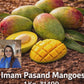Imam Pasand Mangoes from Salem (1 Kg) – Rare South Indian Premium Box | ₹1499